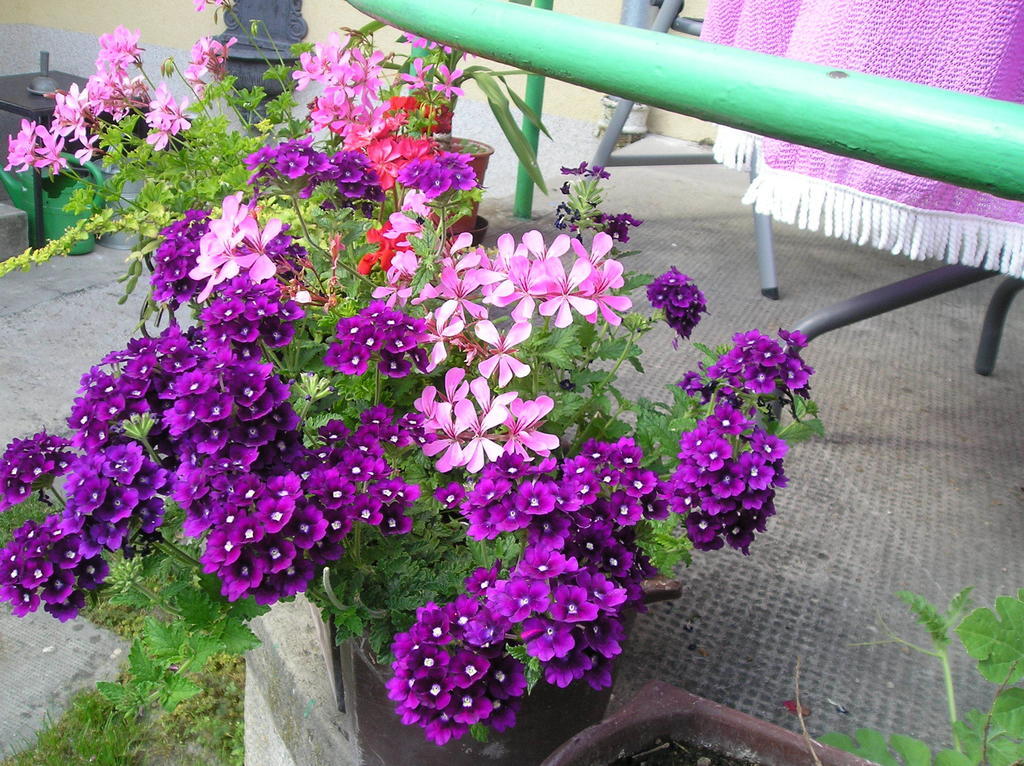 Apartman Silvia
